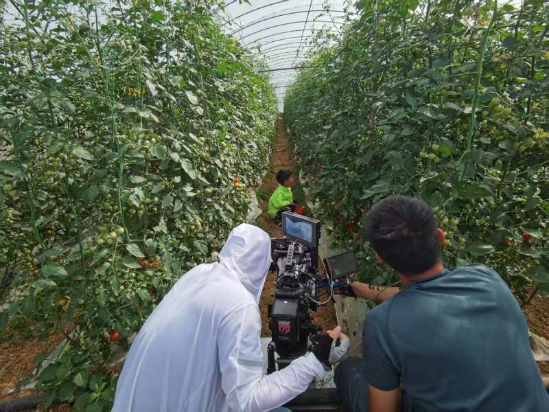 金台区产品宣传视频拍摄公司进阶指南，助力品牌抢占传播高地